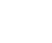 NetEnt games at Buffalo Spins Casino